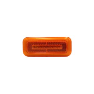 009-D SS LED FLASHER ORANGE 24V
